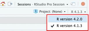 Posit Workbench User Guide Using Multiple Versions Of R In Rstudio Pro