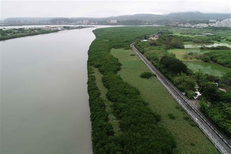 臺北市政府工務局水利工程處 新聞稿 北市推動關渡紅樹林疏伐規劃設計工作 期中初步成果出爐