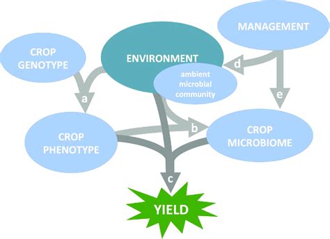 Genotype Environment Management Method And Microbiome Interact To