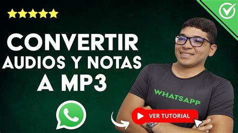 Cómo Convertir Audios Y Notas De Voz De Whatsapp A Mp3 En Android 🎵 Con Y Sin Aplicaciones 🎵