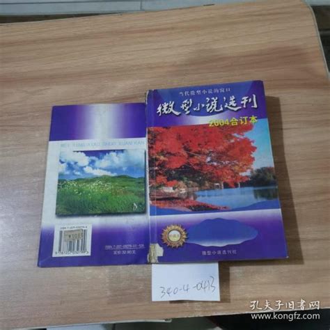 微型小说选刊2004合订本本书编写孔夫子旧书网