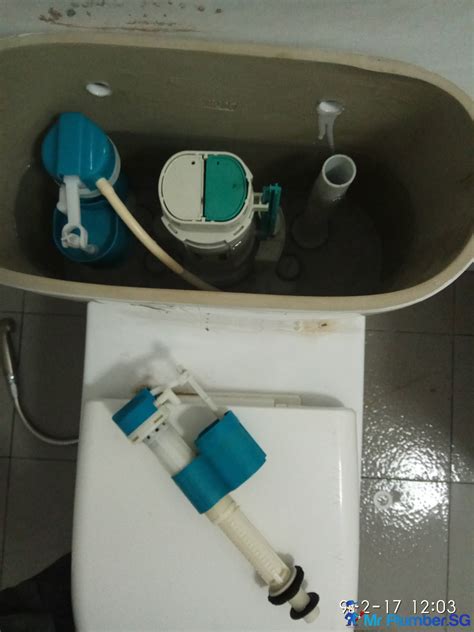 Toilet Flush System Cistern Replacement Plumber Singapore Hdb Holland