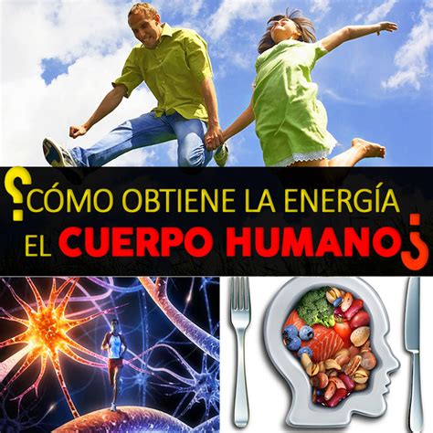 Cómo Obtiene La Energía El Cuerpo Humano Explicación Paso A Paso La