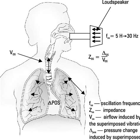 Measurement of airway resistance by interrupter technique | Download Scientific Diagram