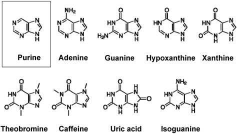 Pharmaceuticals | Special Issue : Purine and Its Derivatives