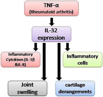 Mechanism Of Pathogenesis Of Autoimmune Disease Rheumatoid Arthritis