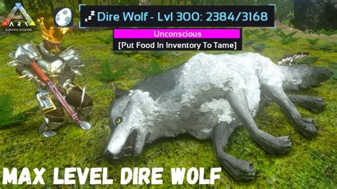 Max Level Dire Wolf Taming Ark Survival Evolved Mobile Youtube