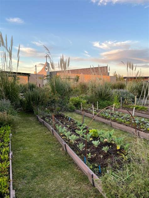 5 fertilizantes orgánicos y efectivos para la huerta DeRaiz ar