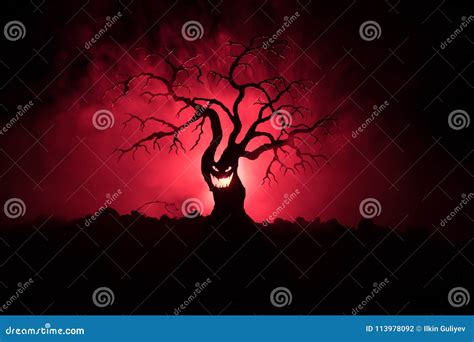 Silhouette Of Scary Halloween Tree With Horror Face On Dark Foggy Toned