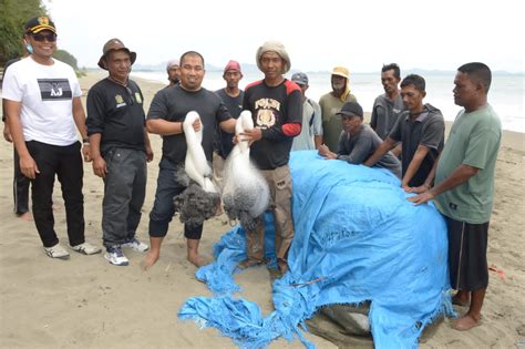 Pj Bupati Aceh Besar Bantu Jaring Untuk Nelayan Gampong Baro Aceh