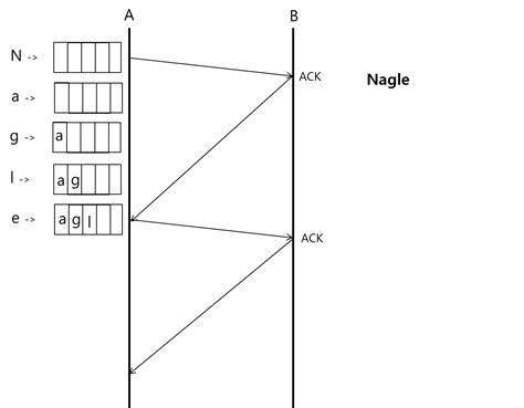 I Can Do I.T.: [Network] Nagle Algorithm (Related with TCP_NODELAY)