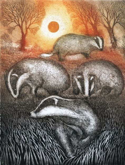 Badger Family. Etching Badger Illustration, Illustration Art ...