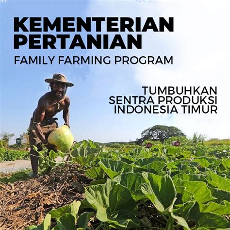 Kementan Dorong Sentra Produksi Pertanian Di Papua Seputar Papua