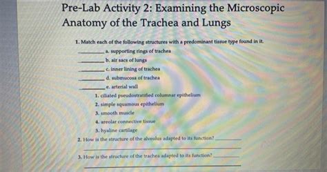 Solved Pre Lab Activity Examining The Microscopic Anatomy Chegg