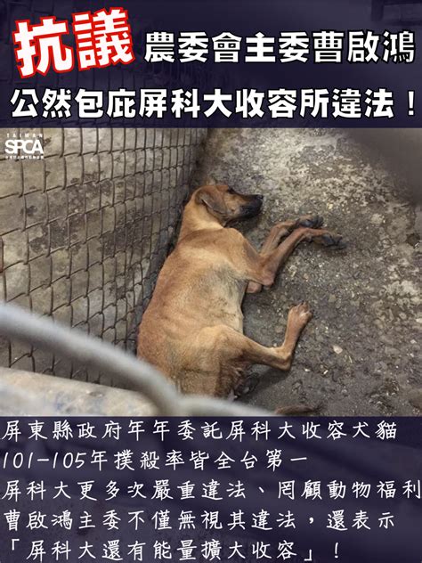 曹啟鴻袒護屏東收容所 遭動團起底 社團法人中華民國保護動物協會