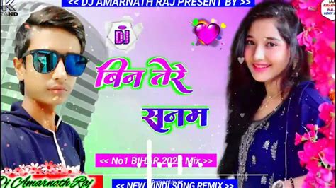 Bin Tere Sanam Mar Mitenge Ham 🎶 New Hindi Song 🥀 Remix👌 Dj Amarnath