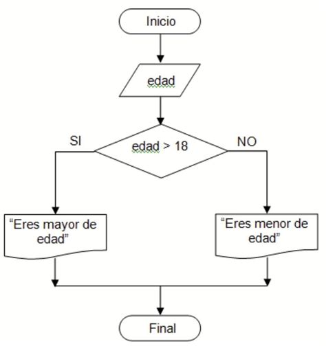 Problema Realizar Pseudocodigo Y Diagrama De Flujo Que Pida La Edad De