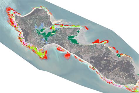 Cartographie des habitats benthiques côtiers du Parc Marin Estuaire