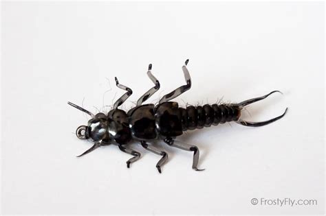 Realistic Stonefly Nymph Frostyfly