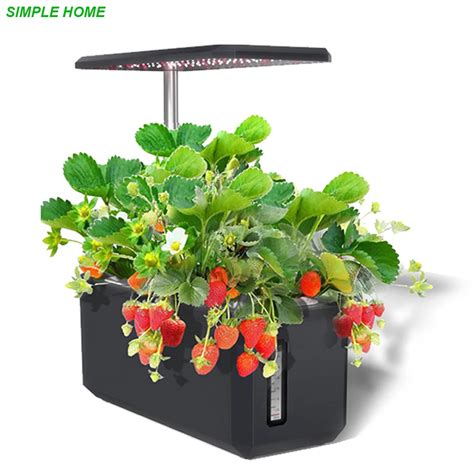 Sistema de cultivo hidropónico para plantas de interior luz Led de