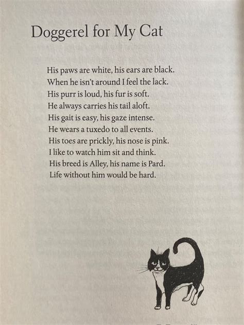 maria on Twitter El poema del gatito de Úrsula K Le Guin