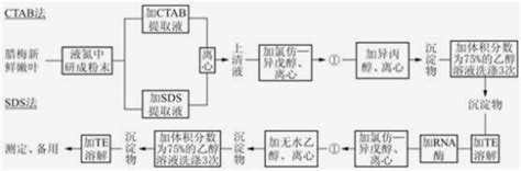 Ctab 法”和“ Sds 法”是提取 Dna 的常用方法， Ctab 提取液含有 Ctab 、 Edta 等成分， Sds 提取液含 Sds 、 Edta 等成分。 百度教育