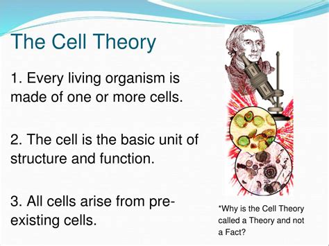 Ppt Objectives List Scientists Who Contributed To The Cell Theory Powerpoint Presentation Id