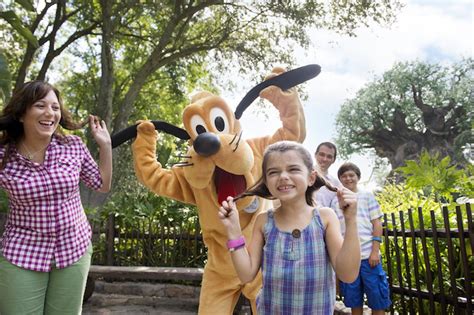 How To Meet Disney World Characters Your Guide To The Magic Classic