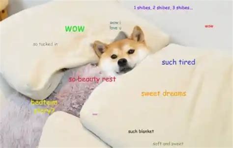 Will The New Shiba Inu Metaverse Make Shib Land On The Moon