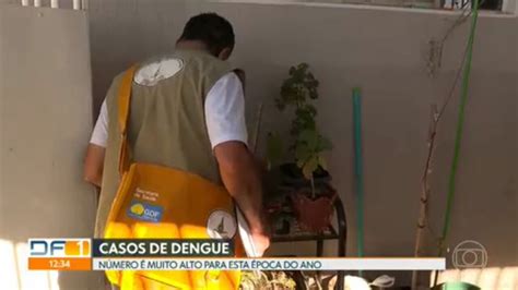 Vídeo Casos De Dengue Estão Muito Altos Para Esta época Do Ano Df1 G1