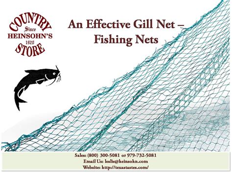 A Gill Net is a single wall of netting and very effective in catching ...