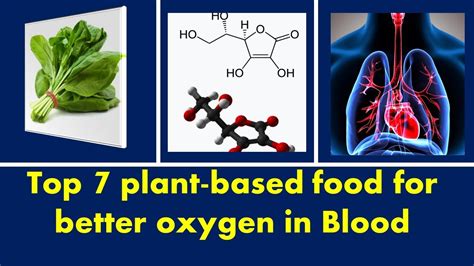 Top 7 Plant Based Food For Better Oxygen In Blood L How To Increase