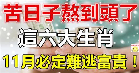 苦日子熬到頭了，這六大生肖11月必定難逃富貴！ Peekme