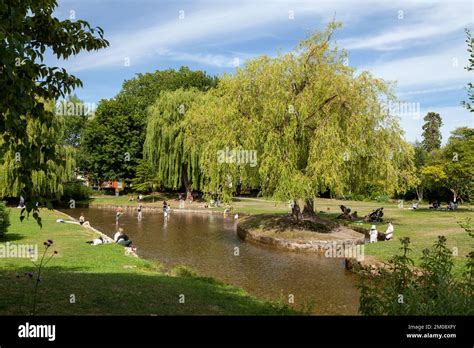 People Enjoying Summer Weather In Queen Elizabeth Gardens Salisbury