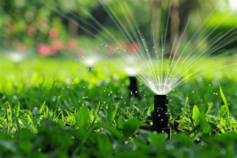 How Much Does Sprinkler Head Replacement Cost Renotag