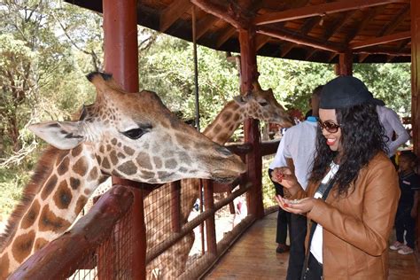 The Giraffe Centre, Nairobi Kenya - Wambui's Diaries