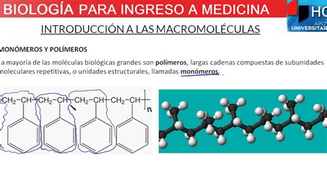 Introduccion A Las Macromoleculas Biologia Para Ingreso A Medicina