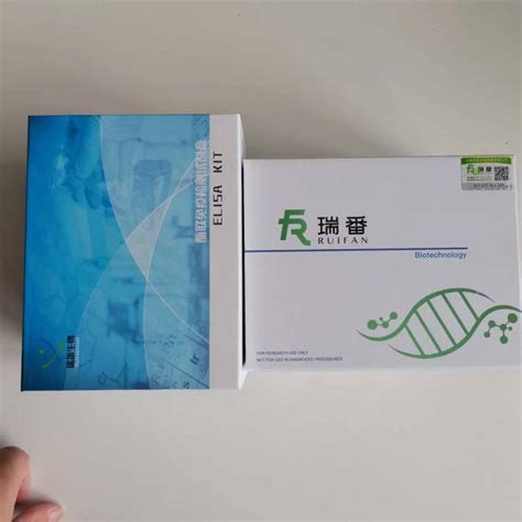 麦胚凝集素凝集蛋白wgaelisa试剂盒 瑞番生物 现货现发 省时省心