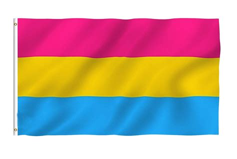 Pansexual Pride Flag 3x5 Pansexual Gay Pride Flag Pan Etsy