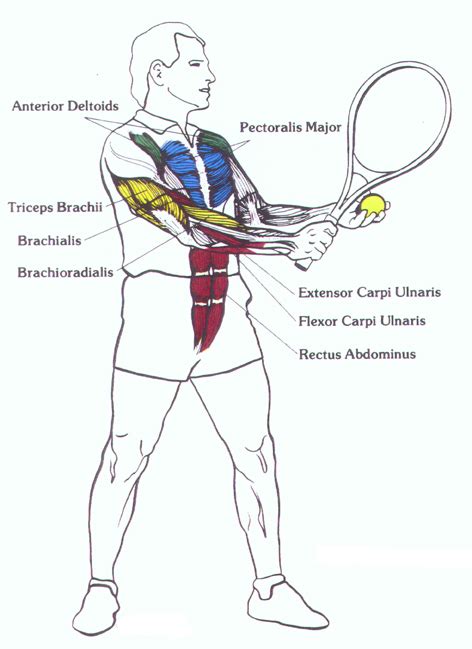 Tennisdr World Class Tennis Instruction