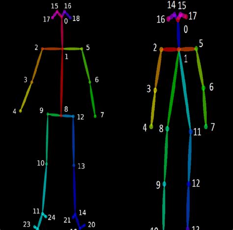 Output Keypoint Skeletons From Openpose Body Left And Hyperpose