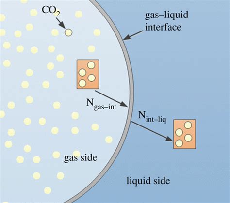 Interactions Between Gasliquid Mass Transfer And Bubble Behaviours