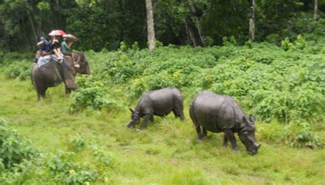 3 Days Chitwan National Park Tour With Itinerary Price Fixed