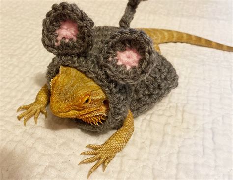 Crocheted Adult Mouse Bearded Dragon Costume Bearded Dragon Etsy