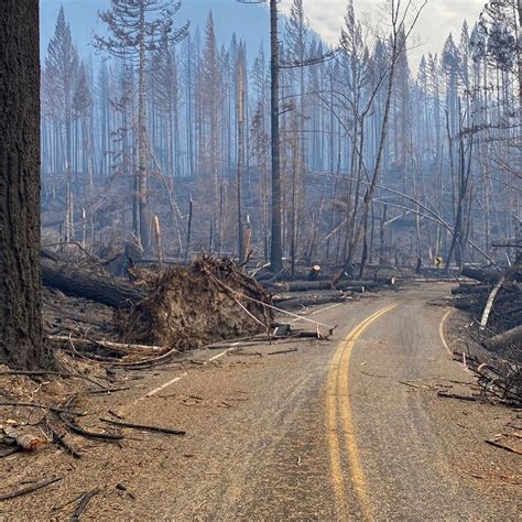 Photos The Aftermath Of Beachie Creek Riverside Fires Kmtr