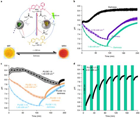 纳米人 Nature Chemistry：化学通讯聚合物纳米反应器中非平衡酶反馈的光开关门控