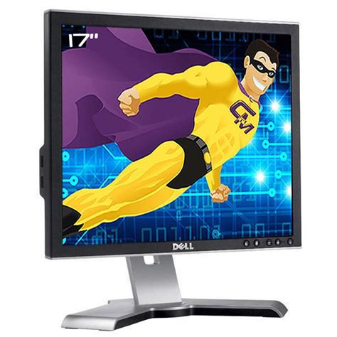 Écran 17 LCD SXGA Dell 1708FPF Back Market