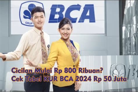 Pinjaman Juta Kur Bca Modal Usaha Tanpa Jaminan Cicilan Mulai