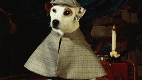 Images De Wishbone 1995 Senscritique