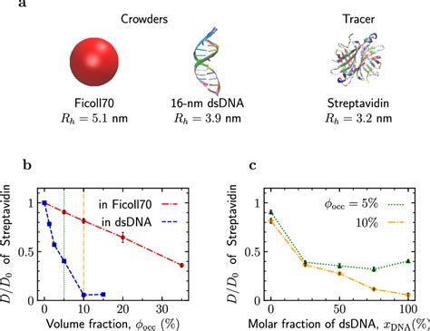 Macromolecular Crowding How Shape And Interactions Affect Diffusion